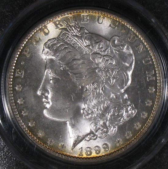 The-28-Days-Of-Morgan-Dollars!-Act-II