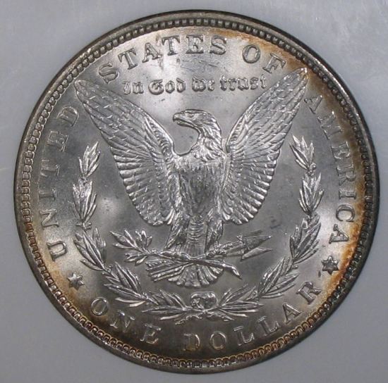 The-28-Days-Of-Morgan-Dollars!-Act-II