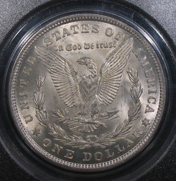The-28-Days-Of-Morgan-Dollars!-Act-II
