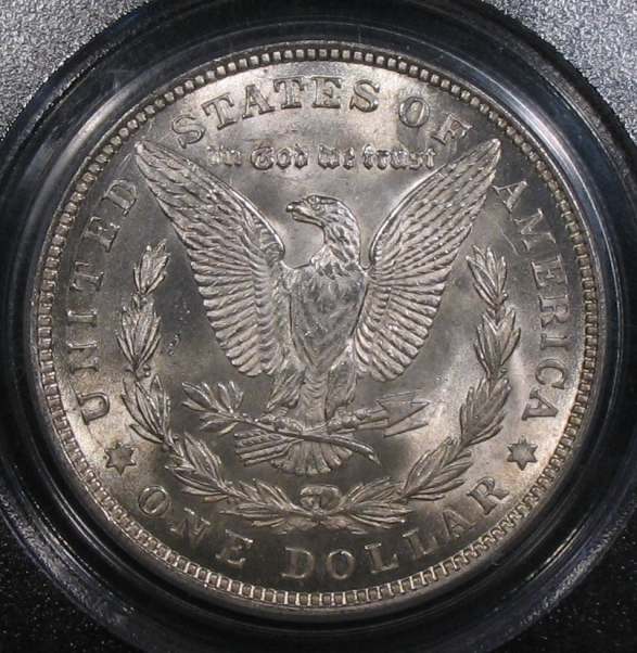 The-28-Days-Of-Morgan-Dollars!-Act-II