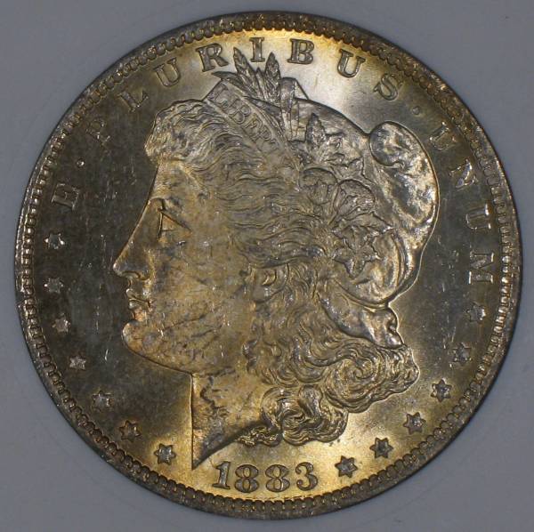 Is-Anyone-Else-A-Sucker-For-Toned-Morgan-Dollars?