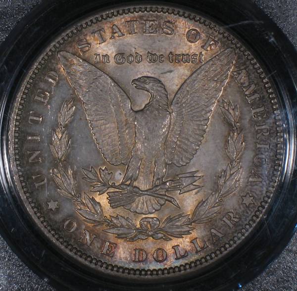 Is-Anyone-Else-A-Sucker-For-Toned-Morgan-Dollars?