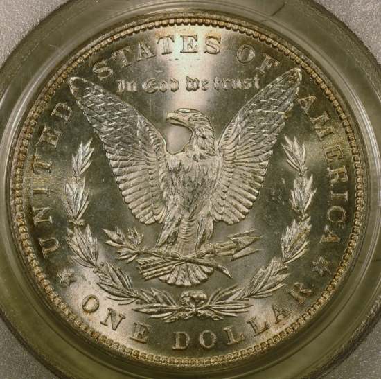 1884-P-Morgan---You-Vs-PCGS