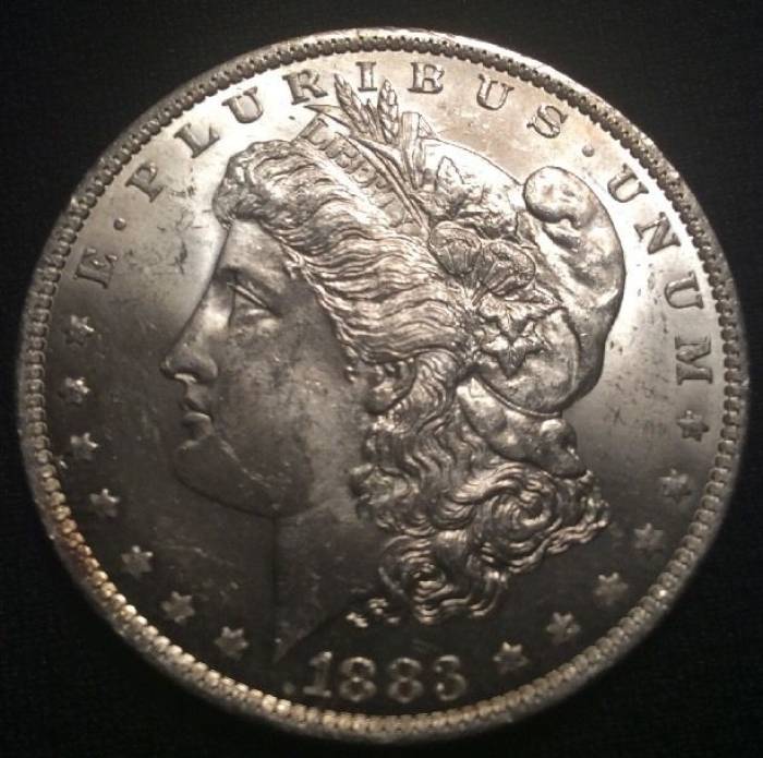 Took-A-Chance-On-An-1883-O