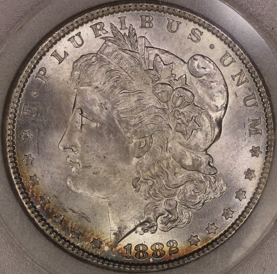 1882-P-Morgan-Dollar---You-Vs-TPG
