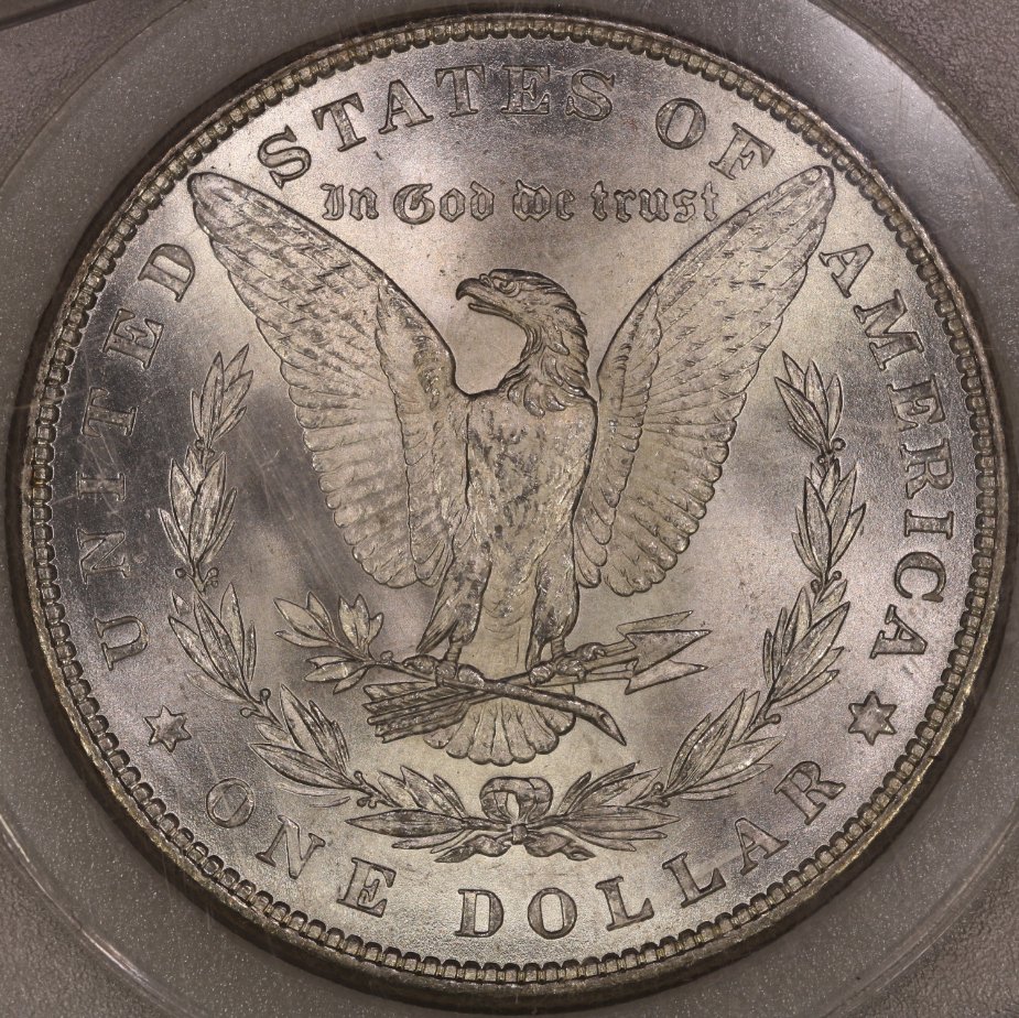 1882-P-Morgan-Dollar---You-Vs-TPG