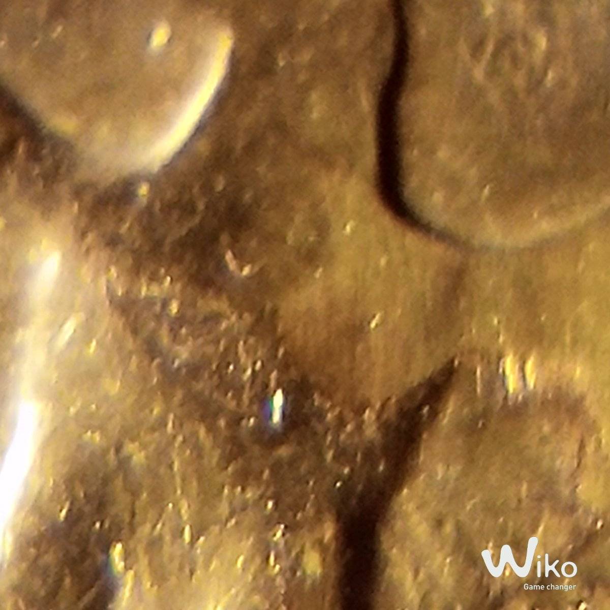 Very-Interesting-1967-Gold-Toned-Quarter