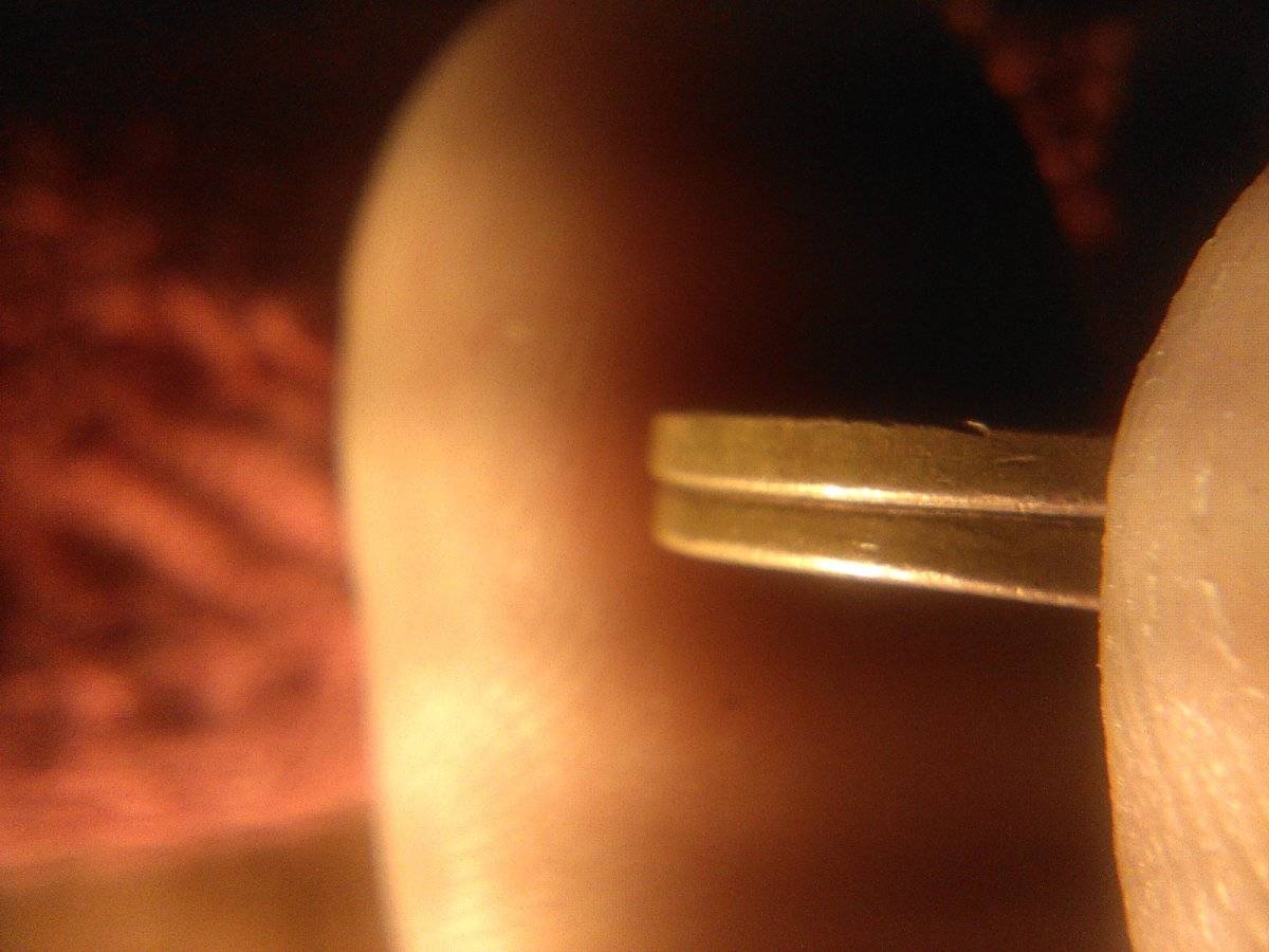 1971-D-Lincoln-Cent-5.81g-Roll-Thin?