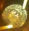 Unknown-Coin-4-Help