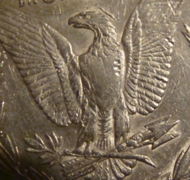 1886-S-Morgan-Dollar,--I-Need-Some-Help.