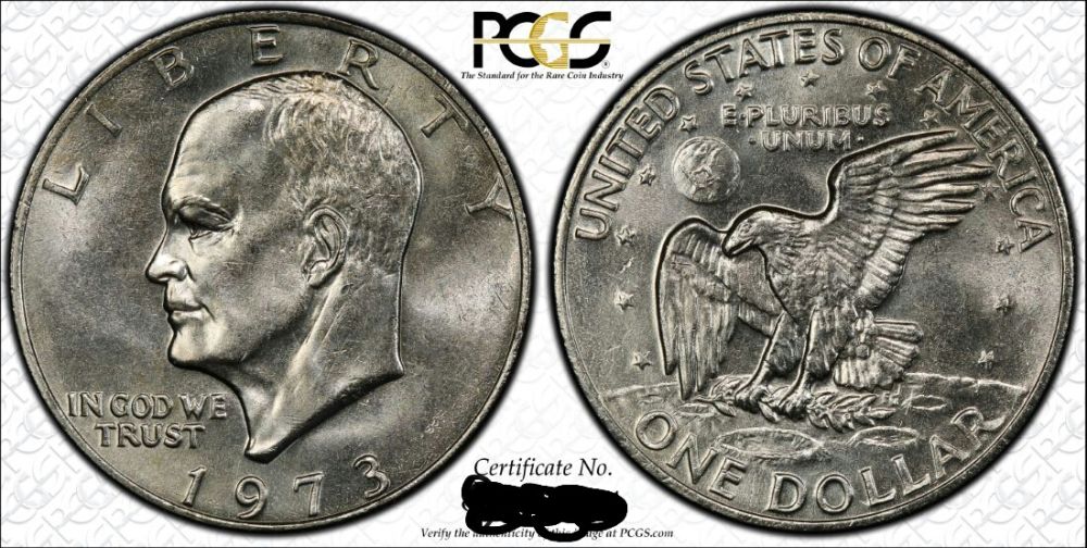 Some-Beautiful-Ikes,-You-Vs-PCGS-Grading