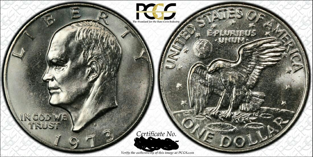 Some-Beautiful-Ikes,-You-Vs-PCGS-Grading