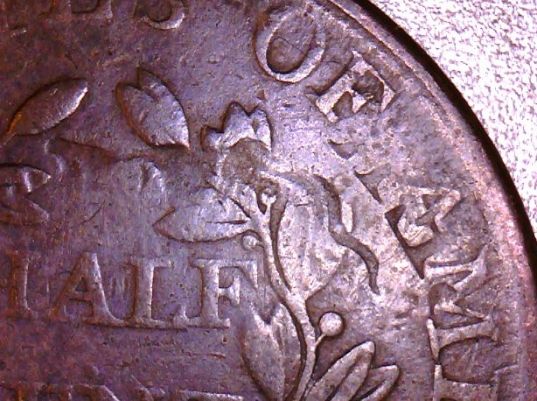 1807-Half-Cent-Overstrike-And-?