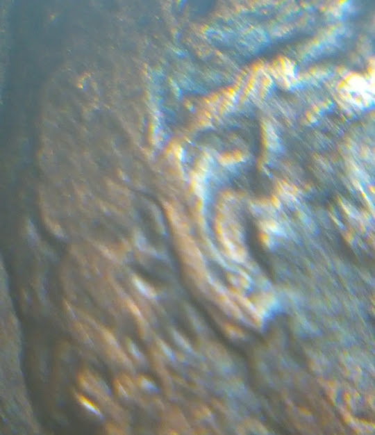 Also-Found-This-1984-Lincoln-Doubled-Ear-#2-WDDO-008