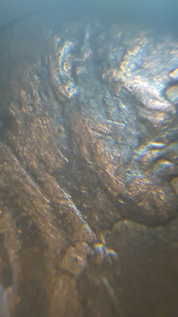 Also-Found-This-1984-Lincoln-Doubled-Ear-#2-WDDO-008