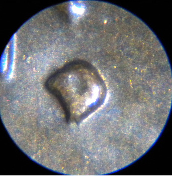 1979-D-LMC---Difficult-Coin-For-Me-To-Identify