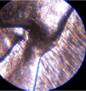 1988-P-LMC---Questions
