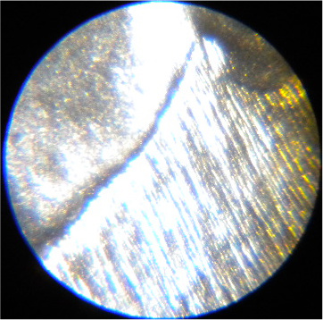 1988-P-LMC---Questions