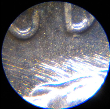 1988-P-LMC---Questions