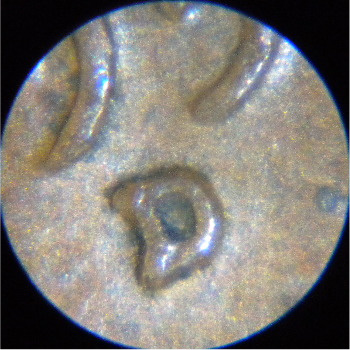 1953-D-1mm027-I-Beleive