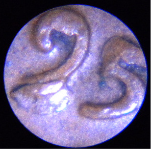 1957-P-LMC-W/Die-Break-And-More-On-Date