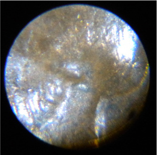 1953-D-DDO-002-Questions.