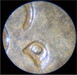 Request-Help-Verifying-2-Possible-RPM-Lincolns-2-Photos-Adde