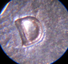1987-D-1MM-001-I-Think
