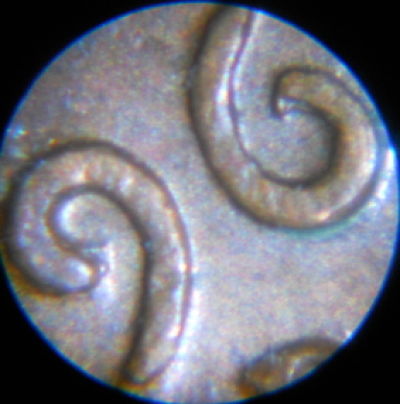 1960-D-Small-Date?/-And-Questions