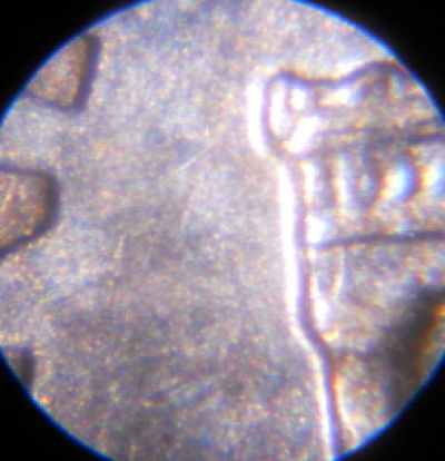 2004-P-Looks-Like-1-DR-010,-But-Isn't