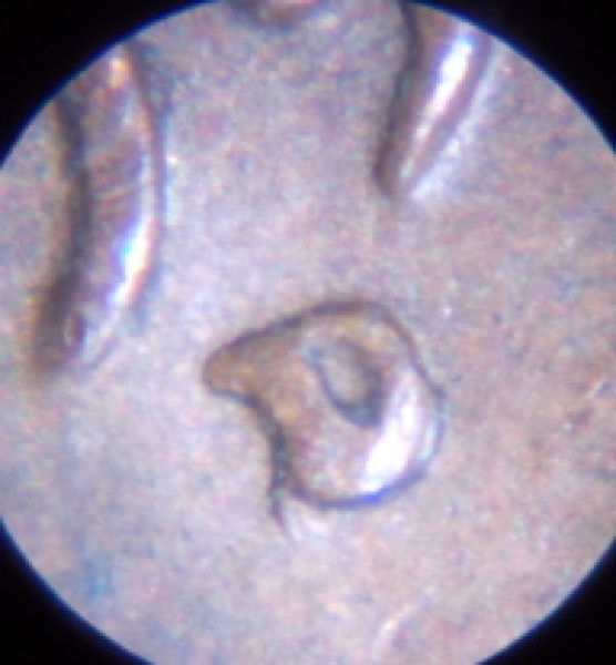 1952-D-RPM-Or-Damaged-Mint-Mark