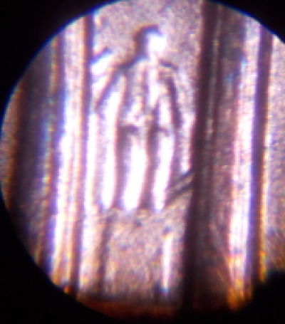 2000-D-1-DR-001