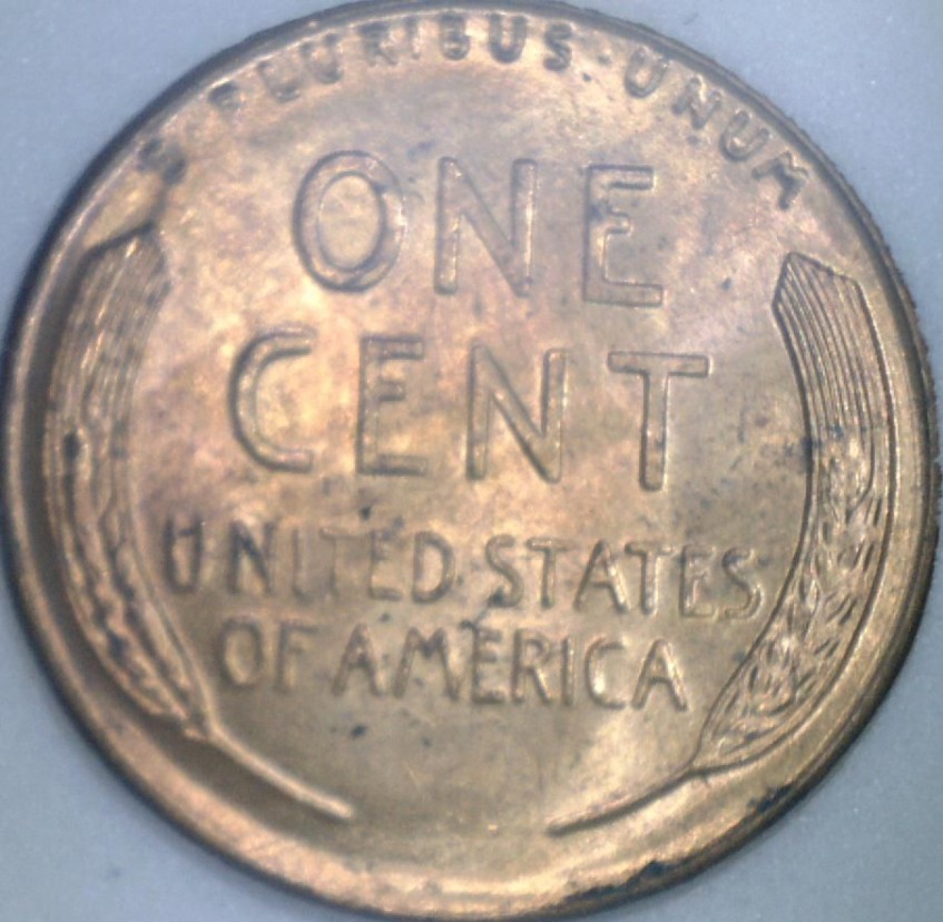 1955-P-LWC-Grade-Opinion-Requested