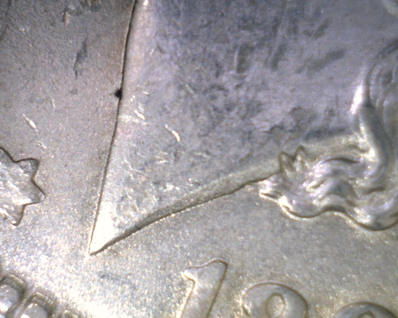1889-P-Morgan-Dollar---VAM-Question