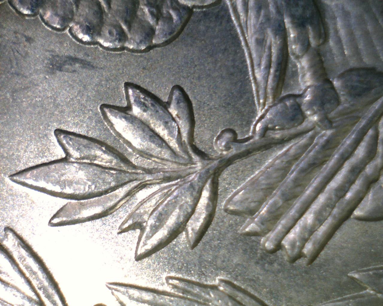 1889-P-Morgan-Dollar---VAM-Question