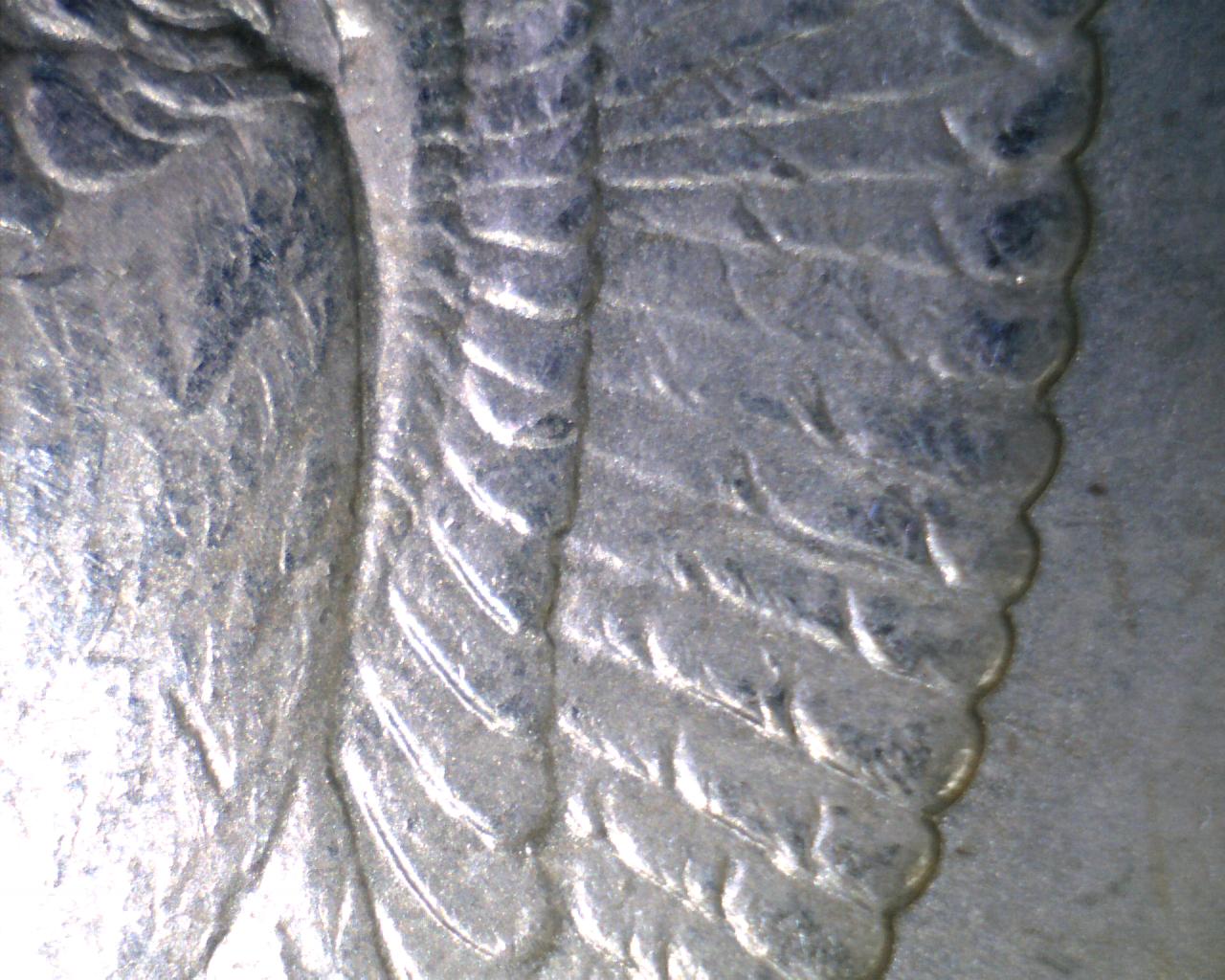 1889-P-Morgan-Dollar---VAM-Question