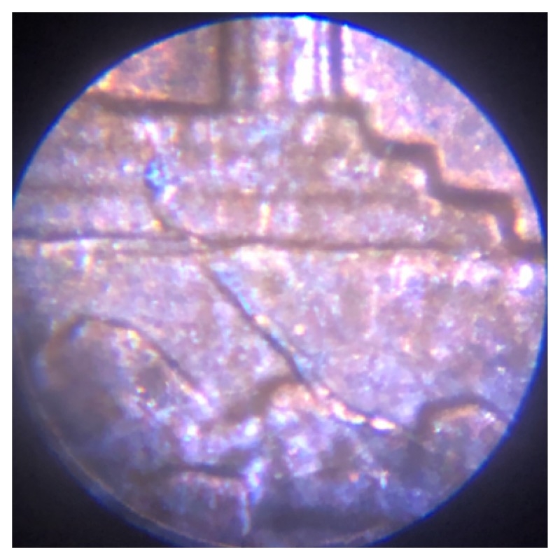 1992-P-LMC-With-A-Nice-Die-Crack,-Working-On-Better-Photos