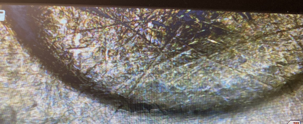 2015-Louisiana-State-Quarter-Error?