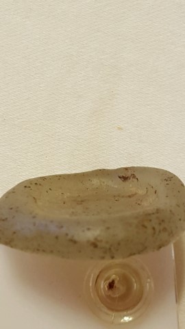 Anyone-Knowledgable-About-Ancient-Egyptian?