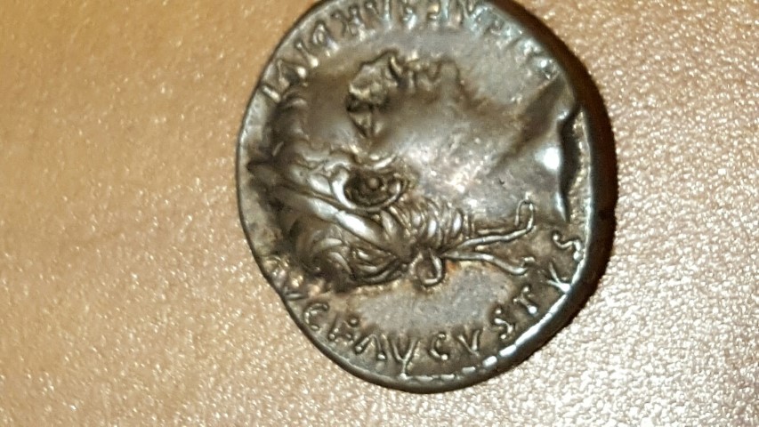 Working-Through-The-Ancients-In-An-Inherited-Collection