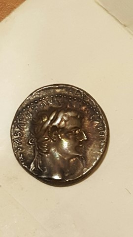 Working-Through-The-Ancients-In-An-Inherited-Collection