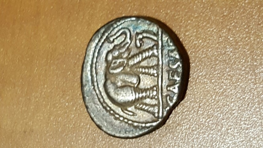 Working-Through-The-Ancients-In-An-Inherited-Collection