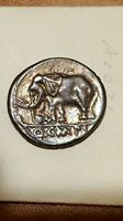 Help-Identifying-These-Ancients
