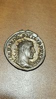 Help-Identifying-These-Ancients