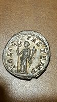 Help-Identifying-These-Ancients