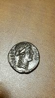 Help-Identifying-These-Ancients