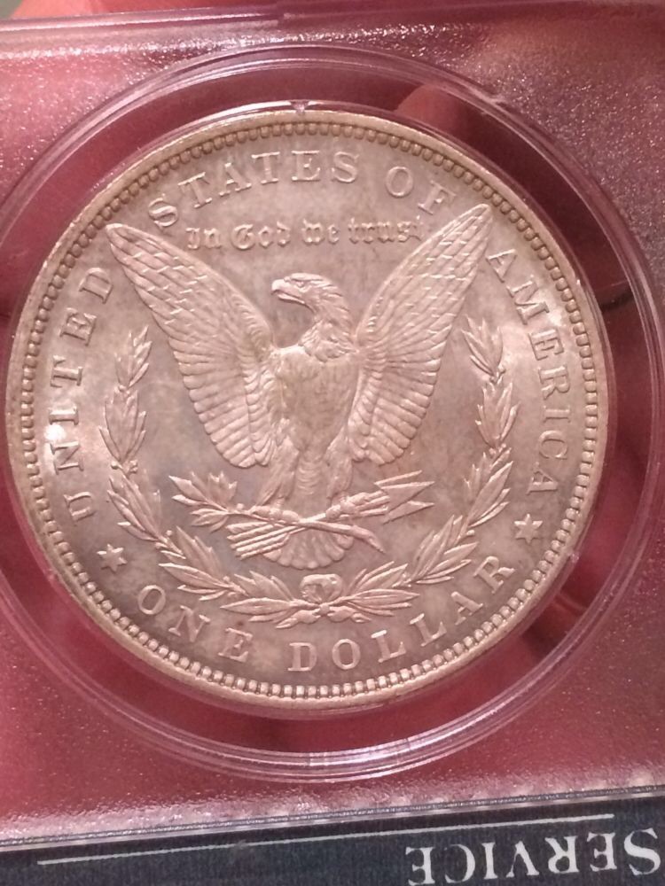 1896-Morgan---What-To-Do?-Grade?