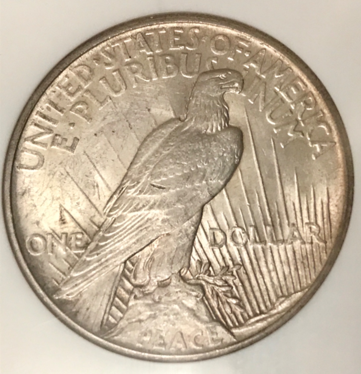 1921-High-Relief-Peace-Dollar