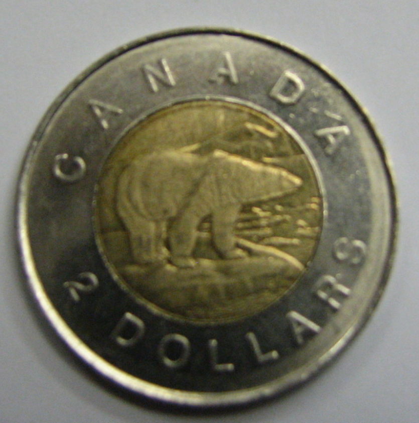Extra-Mountain-Behind-Bear-Of-Twoonie