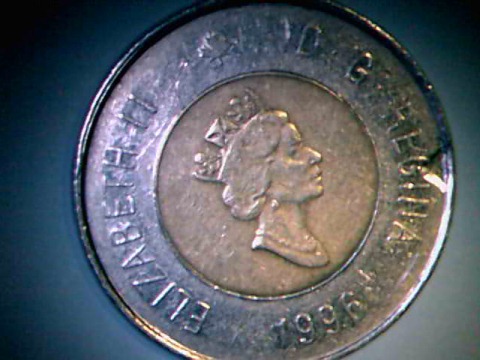 1996-Toonie-Clip-Or-Chip?